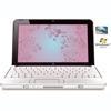 Netbook+Mini+110+1190BR+intel+Atom+N270+1+6GHz+2+GB+RAM+250GB+HP