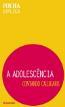 A Adolescencia
