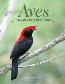 Aves - Chapada Dos Veadeiros