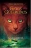 Gatos Guerreiros Na Floresta - Volume 1