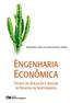 Engenharia Economica - Tecnica De Avaliacao E Selecao De Projetos De Investiment