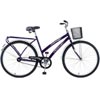 Bicicleta Aro 26 Princess New - Fischer
