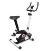 Bicicleta Ergom�trica Magn�tica Vertical KV3.1 - Kikos 