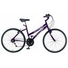 Bicicleta Aro 26 Runner SX Feminina 21 Marchas + V-Brake - Fischer
