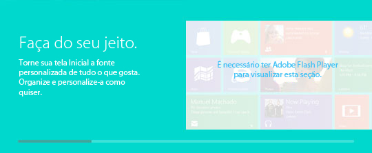 &Eacute; necess&aacute;rio ter o Adobe Flash Player para visualizar esta se&ccedil;&atilde;o