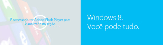 &Eacute; necess&aacute;rio ter o Adobe Flash Player para assistir este v&iacute;deo